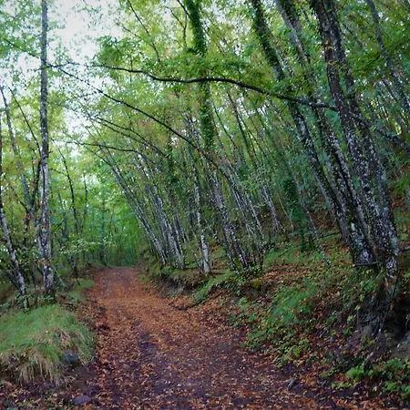 Frigino Séjour à la campagne *