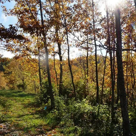 Εξοχικό σπίτι Frigino *