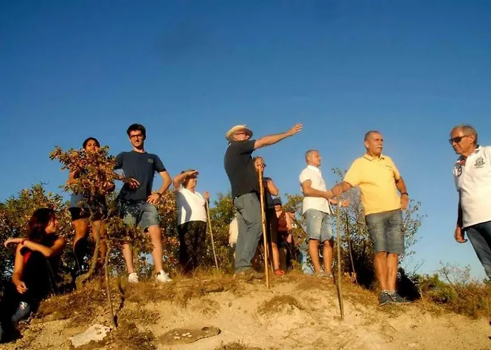 Frigino * Molino Abbadia