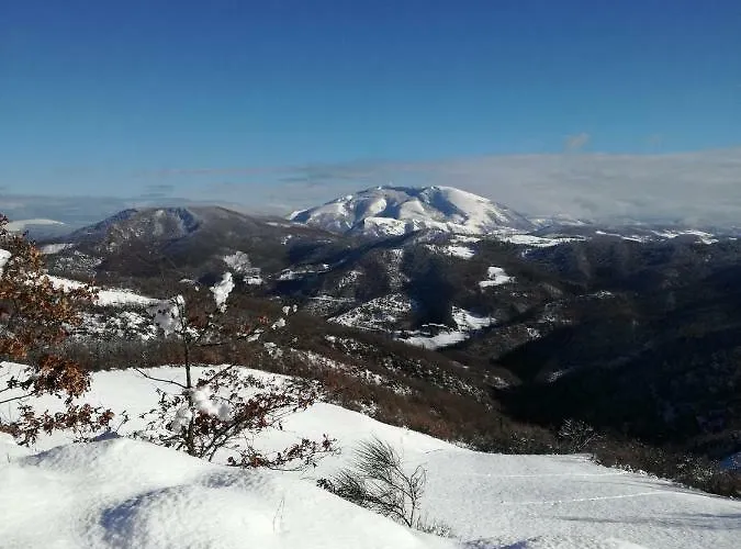 Country house Frigino Agriturismo